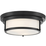 Finn Ceiling Light - Matte Black / White