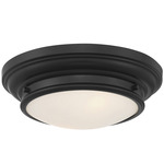 Susanna Ceiling Light - Matte Black / White