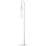 Nettie Floor Lamp - Polished Nickel / Clear