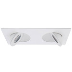 Lotos 2IN Adjustable Multi Light Trim / Remodel Housing - White / Frosted