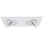 Lotos 2IN 3000K Multi-Light Adjustable Trim w/Remote Driver - White / Frosted