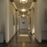 Plura Ceiling Light Fixture - 
