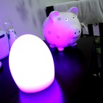 Point Bluetooth Indoor / Outdoor LED Lamp - 