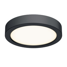 Delta Color Select Round Outdoor Wall / Ceiling Light