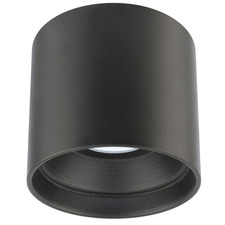Downtown Round Outdoor Ceiling Light