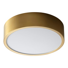 Peepers 10 Inch Wall / Ceiling Light