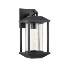 McCarthy Outdoor Wall Sconce