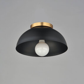 Thelonious Ceiling Light