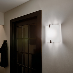 10795 Wall Light