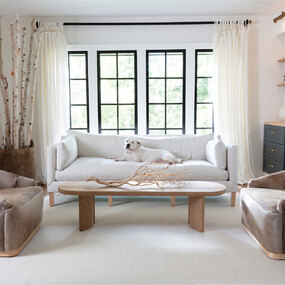 Tate Picture Light by Regina Andrew