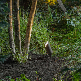 Hardy Island 12V MR16 Spot Light
