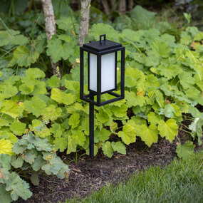 Republic 12V Path Light