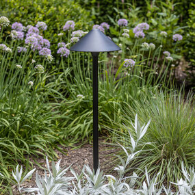 Hardy Island 12V Path Light