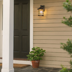 Freeport 120V Composite Outdoor Wall Sconce