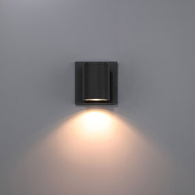 Sunset Outdoor Downlight Wall Light