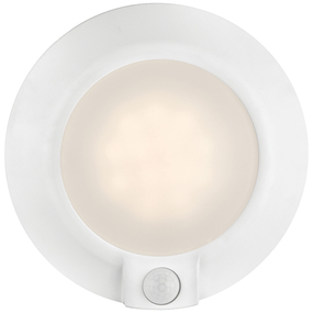 Ace Color-Select Motion Sensor Ceiling Light