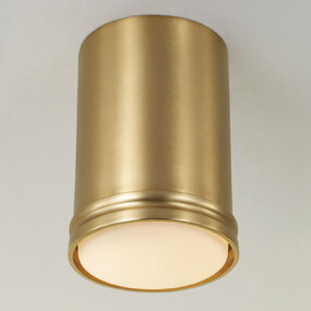Griffin Mini Color-Select Ceiling Light