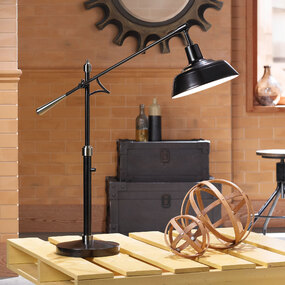 Spot On Desk Lamp  by Pacific Coast Lighting