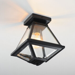Prism Outdoor Ceiling Light