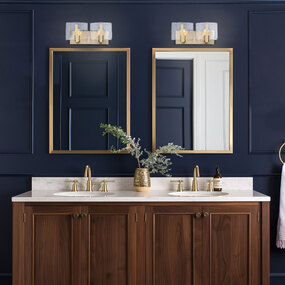 Aenon Bathroom Vanity Light by Golden Lighting