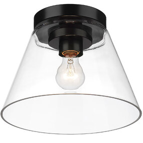 Penn Ceiling Light