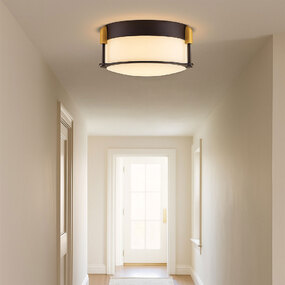 Colbin Ceiling Light