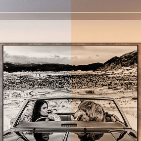 Reveal Wall Wash Dynamic/Tunable White Plaster-In System