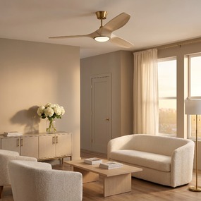 Selen Smart Color-Select Ceiling Fan with Light by Visual Comfort Fan