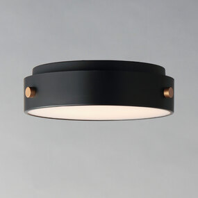 Rivet Outdoor Ceiling Light