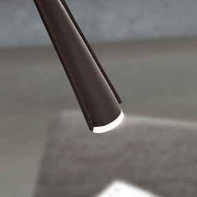 Flexiled Floor Lamp