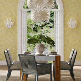 Agave Wall Sconce by Currey and Company