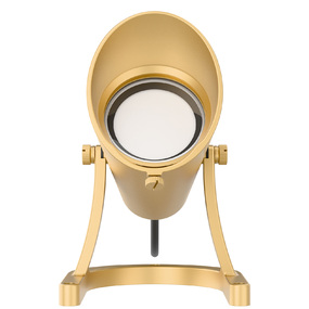 Underwater RGBTW Submersible Spot Light