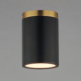 Dapper Ceiling Light