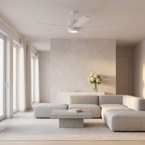 Vision 72 5-Blade Ceiling Fan with Light