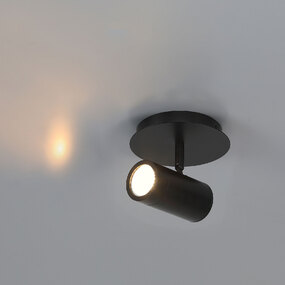 Prado Adjustable Ceiling Light