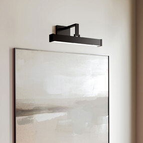 Cortland Picture Light by Capital Lighting