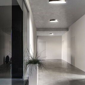 Discus Ceiling Light