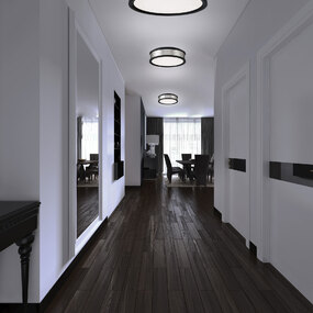 717 Series Ceiling Light