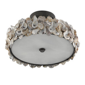 Oyster Semi Flush