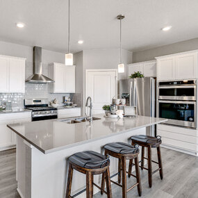 Corona Mini Pendant by Maxim Lighting