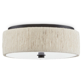 Tyrone Color-Select Ceiling Light