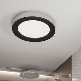 Alta Ceiling Light