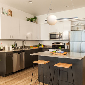 Orb Up-Down Illumination Linear Pendant