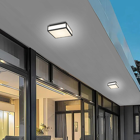 Panel Color-Select Square Outdoor Ceiling Light