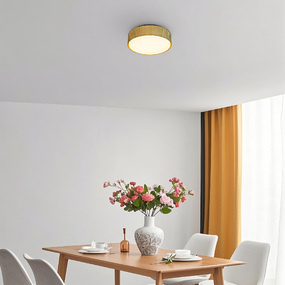 Channel Color-Select Outdoor Ceiling Light