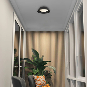 Pez Color-Select Outdoor Ceiling Light