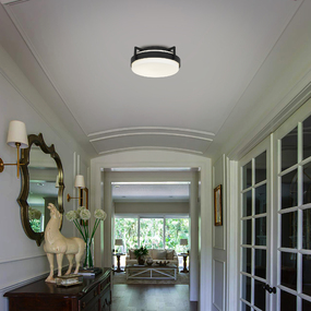 Ted Color-Select Outdoor Ceiling Light