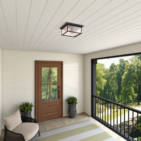 Estate Outdoor Ceiling Light