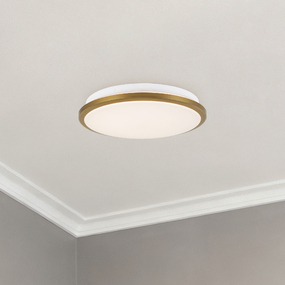 Brook Wall / Ceiling Light