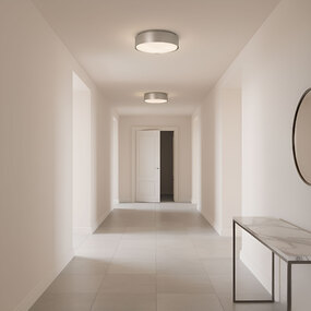 Dartmore Ceiling Flush Light